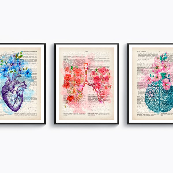 Set 3 Watercolor anatomy art, Anatomical Organ drawing, Medical art, Vintage dictionary page, Clinic wall decor, Medical cabinet, Doctor art