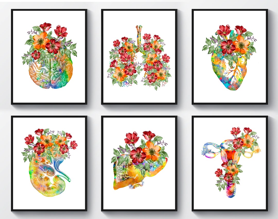 6 Floral Anatomy Art Medical Art Watercolor Brain Heart Lungs Kidney ...