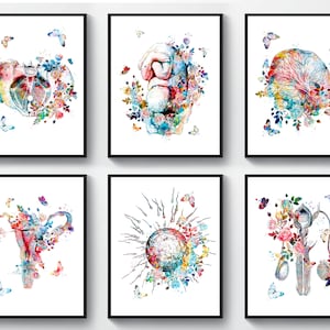 6 Arte del embarazo Arte médico Arte de anatomía Arte de ginecología Arte de fertilización Arte del bebé en el útero Arte de la placenta Arte del sistema reproductivo Regalo para partera