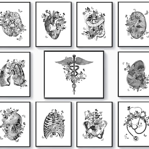 11 Black White Anatomy Artworks Medical Art Physiology Drawing Floral Caduceus Art Human Internal Organs Painting Doctor Office Gift