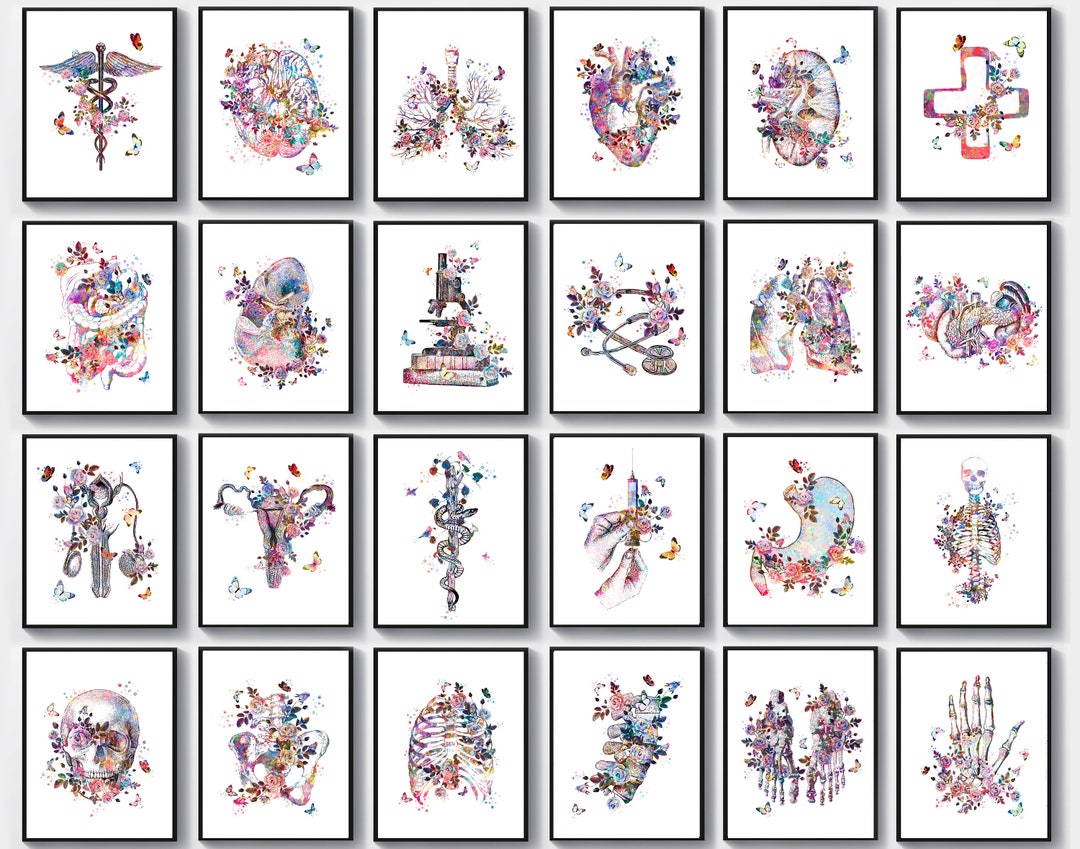 24 Watercolor Anatomy Art Medical Artwork Science Art Doctor Office ...