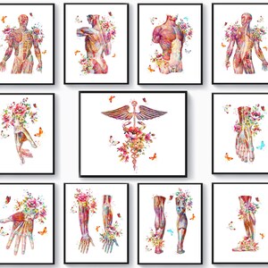 11 Surgeon Gift Anatomy Art Floral Muscular System Poster Watercolor Medical Artwork Physiology Art Massage Office Art Physiotherapist Gift