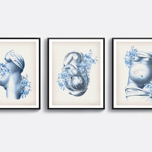 Zestaw 3 Sztuka kobiety w ciąży Sztuka dziecka w macicy Sztuka położnictwa Sztuka medyczna Sztuka anatomii Sztuka fizjologii Prezent położnika Prezent położnika Cyfrowy