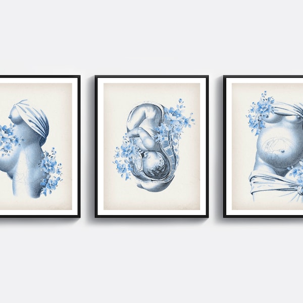 Obgyn Art - Etsy