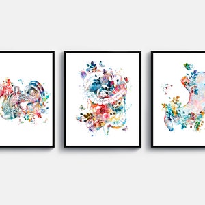 3 Watercolor Anatomy Art Medical Art Digestive System Print Gastroenterologist Gift Proctologist Gift Pancreas Art Intestine Art Stomach Art