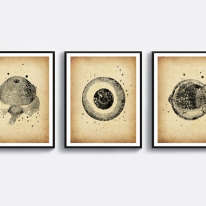 3 vintage oogheelkunde kunst posters opticien cadeau optometrist kantoor decor oogarts cadeau menselijk oog tekening oogkliniek decor