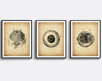 3 Vintage Ophthalmology Art Posters Optician Gift Optometrist Office Decor Ophthalmologist Gift Human Eye Drawing Ophthalmic Clinic Decor