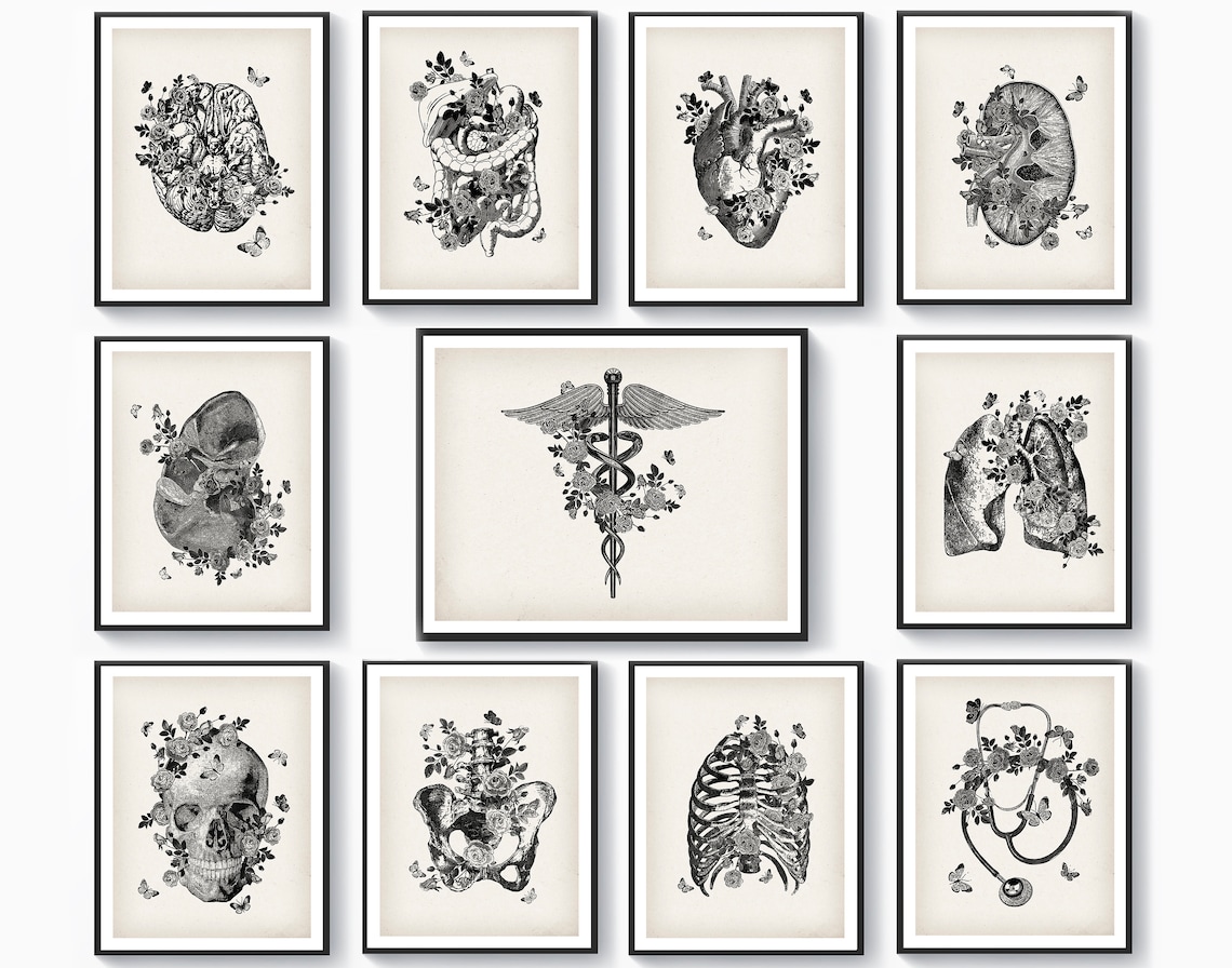11 Human Anatomy Art Anatomical Wall Decor Medical Artwork Heart
