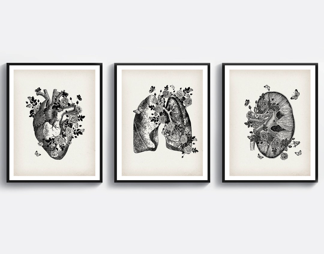 3 Anatomy Art Medical Art Science Art Anatomical Heart Print Floral ...