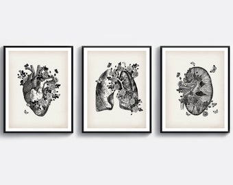 3 Anatomy Art Medical Art Science Art Anatomical Heart Print Floral Lungs Print Human Kidney Print Doctor Gift Surgeon Office Decor