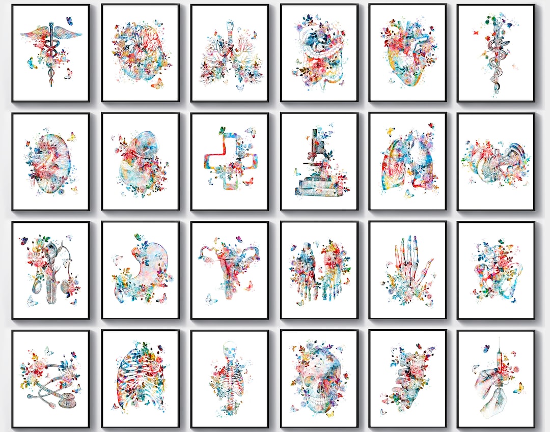Set 24 Watercolor Anatomy Art Medical Art Physiology Art Surgeon Office ...