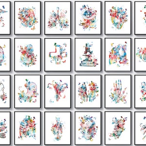 Set 24 Watercolor Anatomy Art Medical Art Physiology Art Surgeon Office Gift Anatomical Heart Brain Lungs Kidney Art Treatment Room Decor
