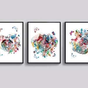 May include: Three watercolour anatomical illustrations of the human pelvis with colourful flowers and butterflies. The illustrations are framed in black frames and are displayed on a white wall.