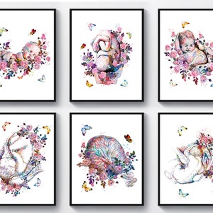 6 acuarelas para bebés, arte para recién nacidos, feto en el útero, dibujo floral de placenta, póster de ginecología, regalo para partera, decoración para baby shower, regalo para embarazadas