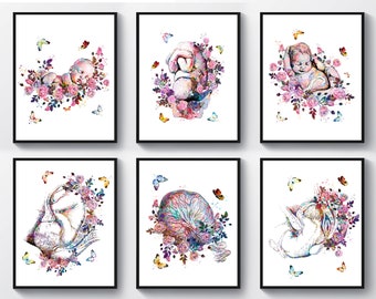 6 Watercolor Baby Art Newborn Art Fetus in Womb Floral Placenta Drawing Obgyn Poster Midwife Gift Baby Shower Decor Pregnant Gift