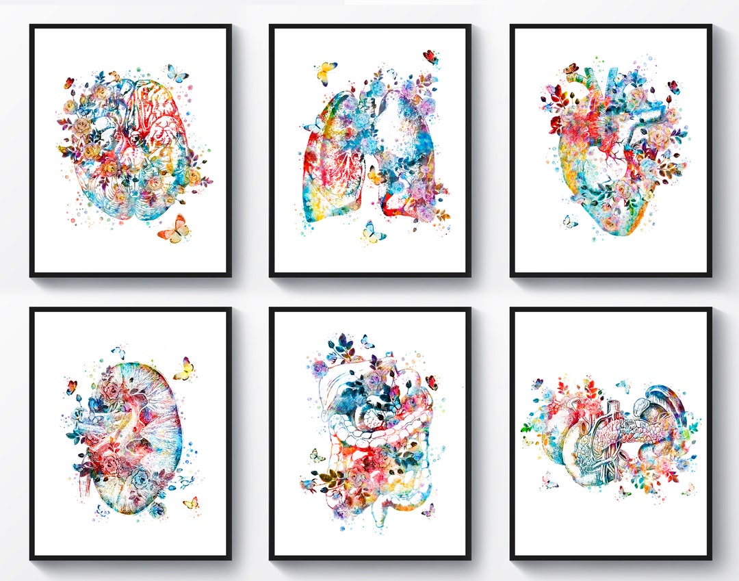 6 Watercolor Anatomy Art Medical Decor Anatomical Organ Drawing Floral ...