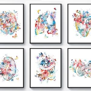 6 Aquarela Anatomia Arte Decoração Médica Órgão Anatômico Desenho Floral Cérebro Pulmões Coração Rim Trato gastrointestinal Pâncreas Decoração de Parede Presente Médico