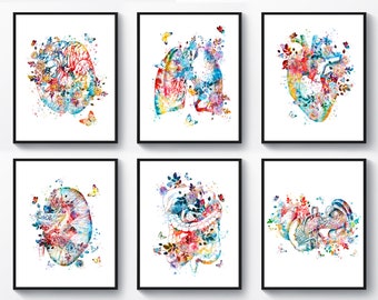 6 Watercolor Anatomy Art Medical Decor Anatomical Organ Drawing Floral ...