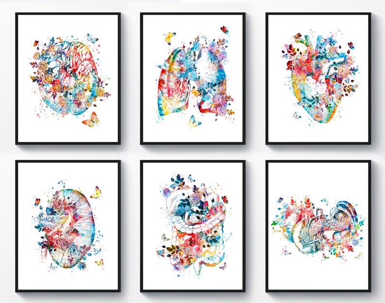6 Watercolor Anatomy Art Medical Decor Anatomical Organ Drawing Floral ...
