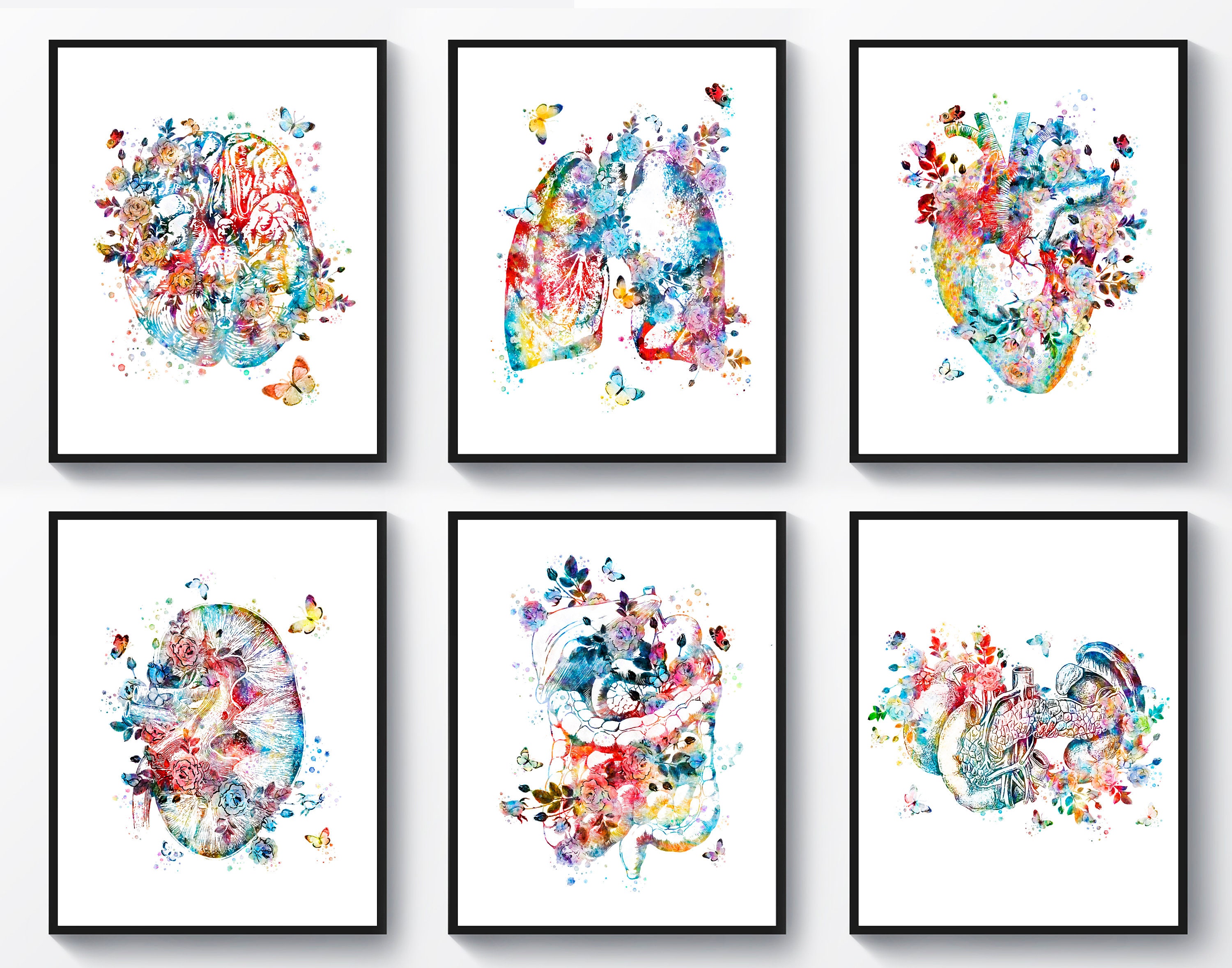 6 水彩画 解剖学アート 医療用装飾 解剖学的臓器の絵 花 脳 肺 心臓