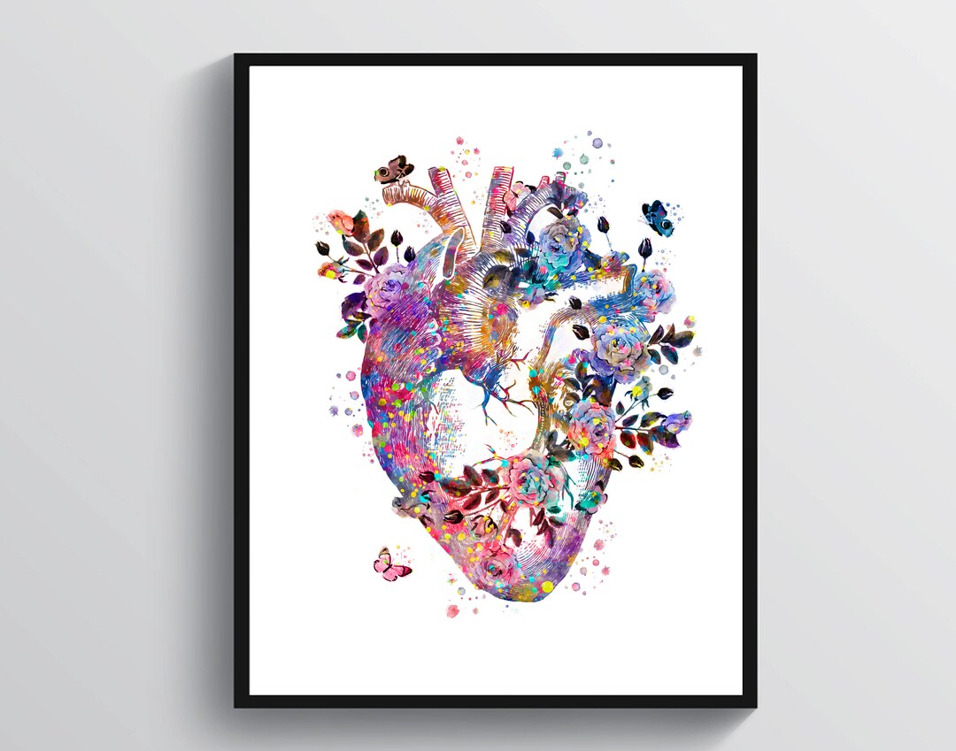 Anatomical Heart Art Watercolor Anatomy Art Medical Art - Etsy