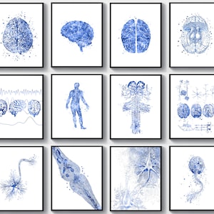 Set 12 Brain Anatomy Art Neuroscience Art Neurology Art Medical Art Nervous System Poster Synapse Art Neuron Art Nerve Cell Neurologist Gift