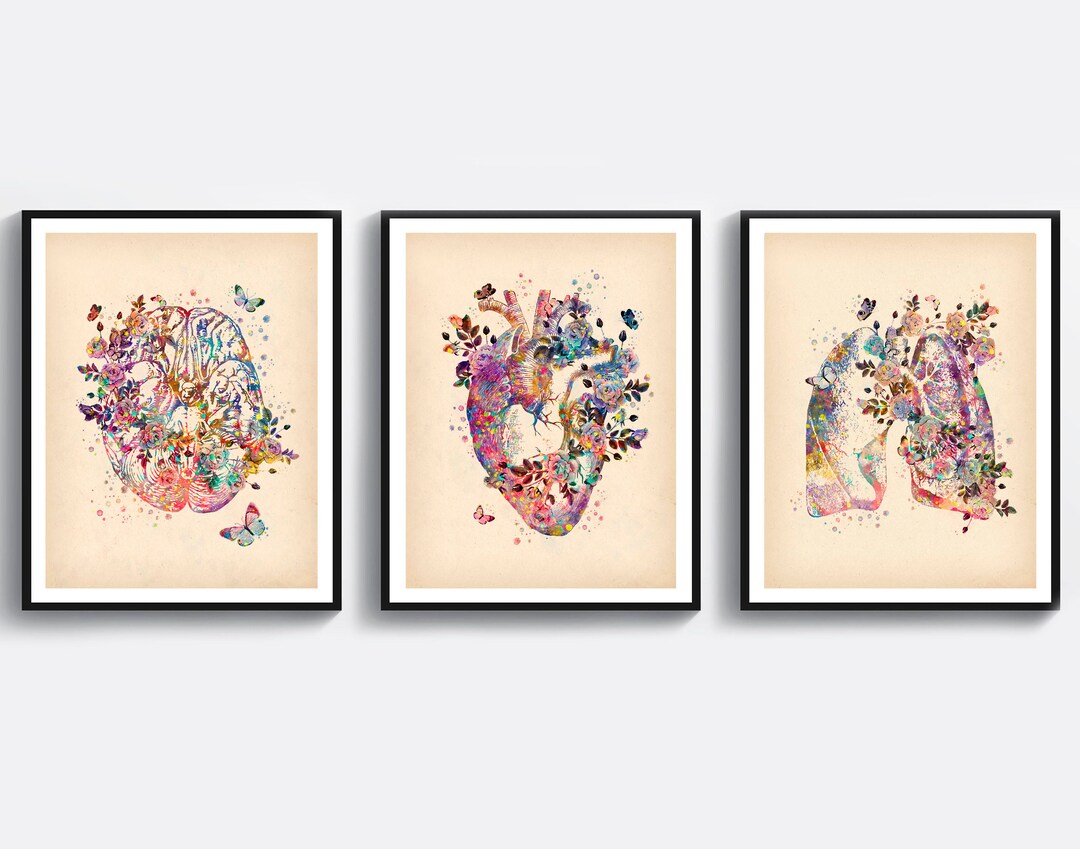 3 Vintage Anatomy Art Medical Art Watercolor Heart Art Anatomical Brain ...