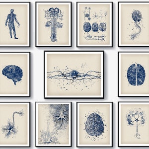 11 Neurology Artwork, Anatomy Art, Science Art, Human Neural System Structure, Brain Art, Neuron Cell Art, Neurologist Gift, Medical Artwork