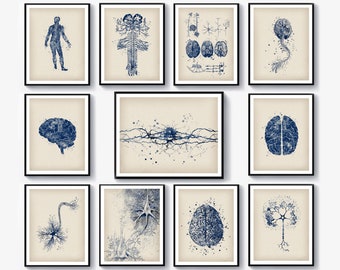 11 Neurology Artwork, Anatomy Art, Science Art, Human Neural System Structure, Brain Art, Neuron Cell Art, Neurologist Gift, Medical Artwork