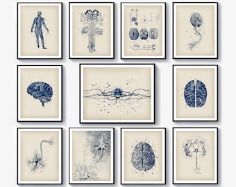 11 Neurology Artwork, Anatomy Art, Science Art, Human Neural System Structure, Brain Art, Neuron Cell Art, Neurologist Gift, Medical Artwork