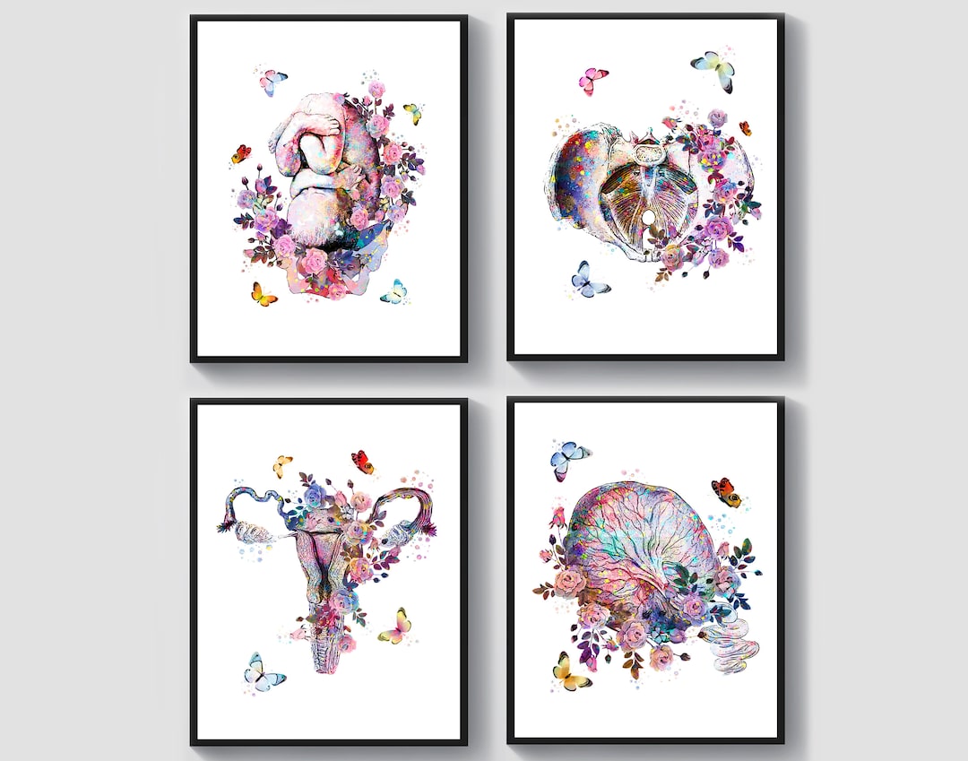 4 Obstetrician Gynecologist Art Pregnancy Art Obgyn Art Fetus in Womb ...