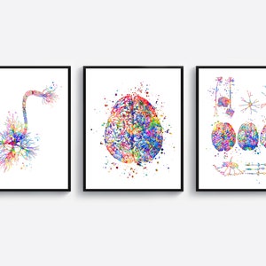 3 Brain Anatomy Art Neuroscience Art Neural System Poster Medical Art Neurologist Gift Neuroscientist Gift Neurosurgeon Gift Doctor Gift