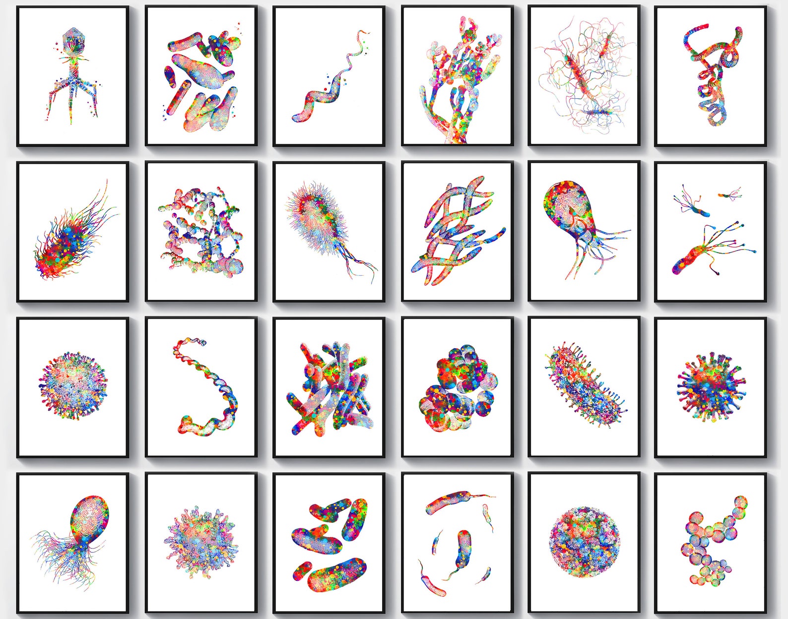 24 Bacteriology Art Watercolor Bacteria Artwork Microbiology Art ...