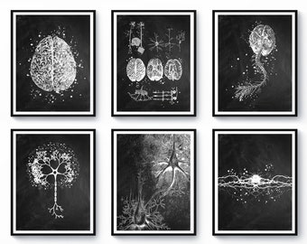 May include: Set of six black and white illustrations of the human brain and nervous system. The illustrations are in a vintage style and are printed on a chalkboard background.