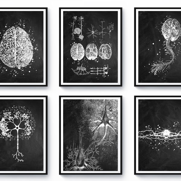 Neurology Art Set 6 Anatomy Chalkboard Drawing Medical Art Science Art Anatomical Brain Spinal Cord Neuron Synapse Poster Scientist Gift