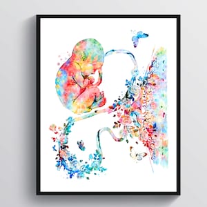 Fetus Art Obgyn Artwork Baby in Womb Art Placenta Art Umbilical Cord Art Fetal Development Poster Pregnancy Art Pregnant Woman Gift Midwife