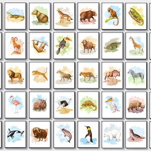 40 Acuarela Arte Animal Biología Arte Animal Salvaje Póster Safari Animal Arte Niños Decoración De la Habitación Educación Animal Guardería Arte Imprimible