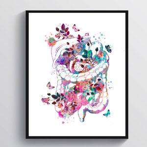 Puede incluir: Una impresión en acuarela enmarcada del sistema digestivo humano, adornada con flores y mariposas coloridas. La obra de arte presenta una vibrante mezcla de tonos rosas, azules y verdes, creando una representación artística única de la anatomía.