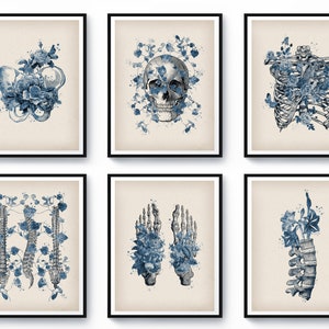 6 Skeletal Bones Art Chiropractor Gift Floral Anatomy Art Osteology Art Orthopedia Art Medical Decor Orthopedic Surgeon Gift Clinic Decor