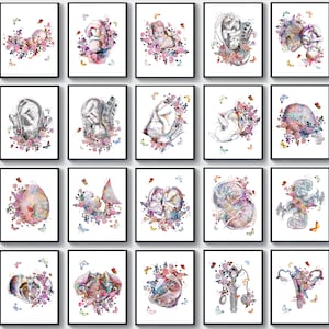 20 obras de arte de ginecología y obstetricia Arte de partera Arte de embarazo Arte de obstetricia Arte de anatomía femenina Arte del feto Arte de órganos reproductivos Arte de fisiología