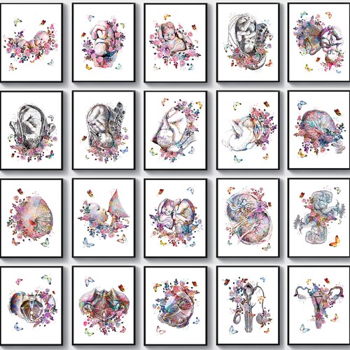 20 Obgyn Artworks Midwife Art Pregnancy Art Obstetrics Art - Etsy
