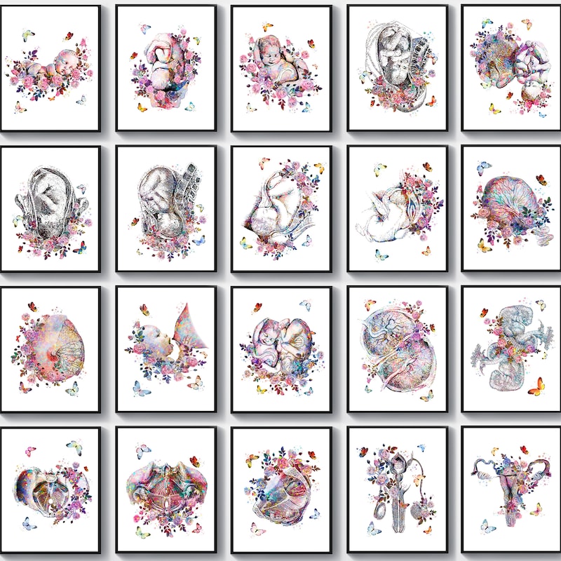 Obgyn Art - Etsy