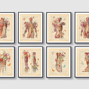 8 Anatomical Drawings Vintage Dictionary Art Medical Decor Massage Clinic Wall Art Watercolor Painting Muscular System and Flowers Art