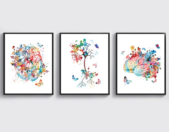 3 Brain Anatomy Art Neuron Art Neurology Art Medical Art Science Art Neurologist Gift Psychologist Gift Scientist Gift