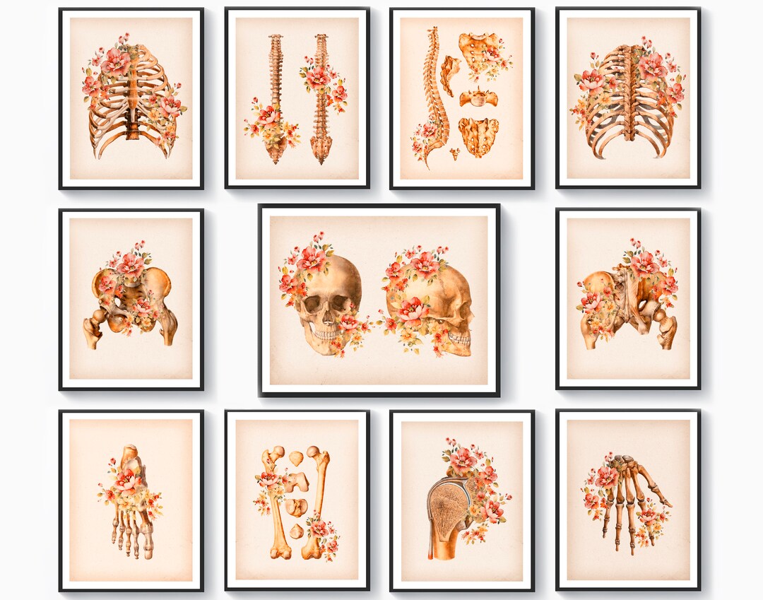 11 Floral Skeletal Anatomy Art Posters Anatomical Skeleton Wall Decor ...