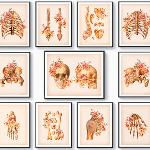 11 Floral Skeletal Anatomy Art Posters Anatomical Skeleton Wall Decor Medical Art Skull Pelvis Rib Cage Vertebral Column Drawing Clinic Art