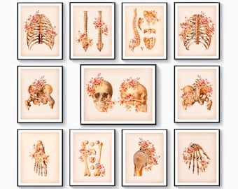 11 pôsteres de arte de anatomia esquelética floral, decoração de parede de esqueleto anatômico, arte médica, crânio, pélvis, caixa torácica, coluna vertebral, desenho, arte clínica