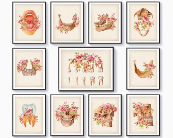 11 blommiga tandanatomikonster, tandläkare, present till tandvård, teckningar, medicinska konstverk, vintagemedicinillustrationer, ortodontistpresent till tandklinik
