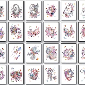 24 Pregnant Woman Gift Midwife Gift Pregnancy Art Fertilization Art Childbirth Art Obgyn Artwork Female Anatomy Art Reproductive System Art