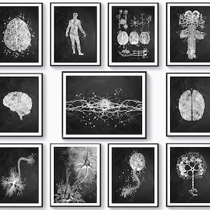 Set 11 Neurosurgery Art Human Nervous System Anatomy Artwork Neurology Art Anatomical Brain Neuron Cell Poster Neurologist Gift
